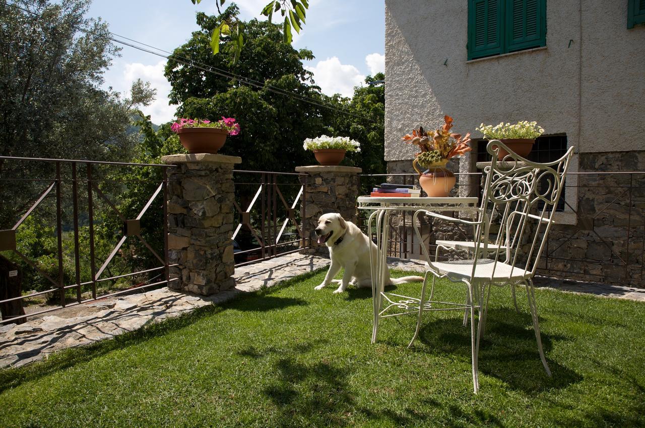 La Casa Dei Nonni Castelbianco Bed & Breakfast Colletta Exterior photo