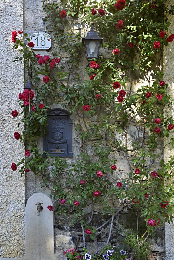 La Casa Dei Nonni Castelbianco Bed & Breakfast Colletta Exterior photo